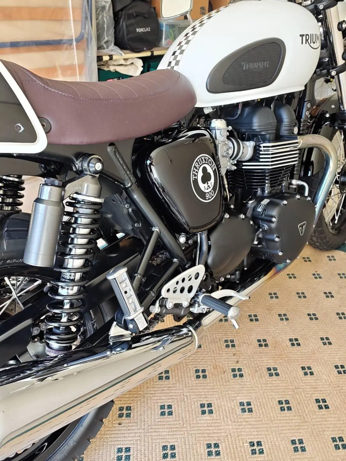 Triumph Thruxton 900 ACE (2014 - 15) (8)