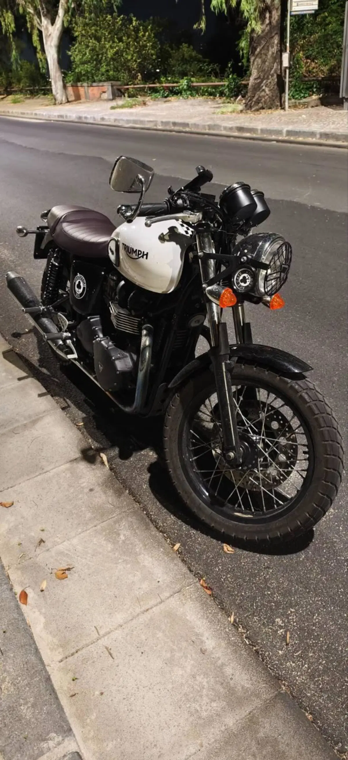 Triumph Thruxton 900 ACE (2014 - 15) (15)