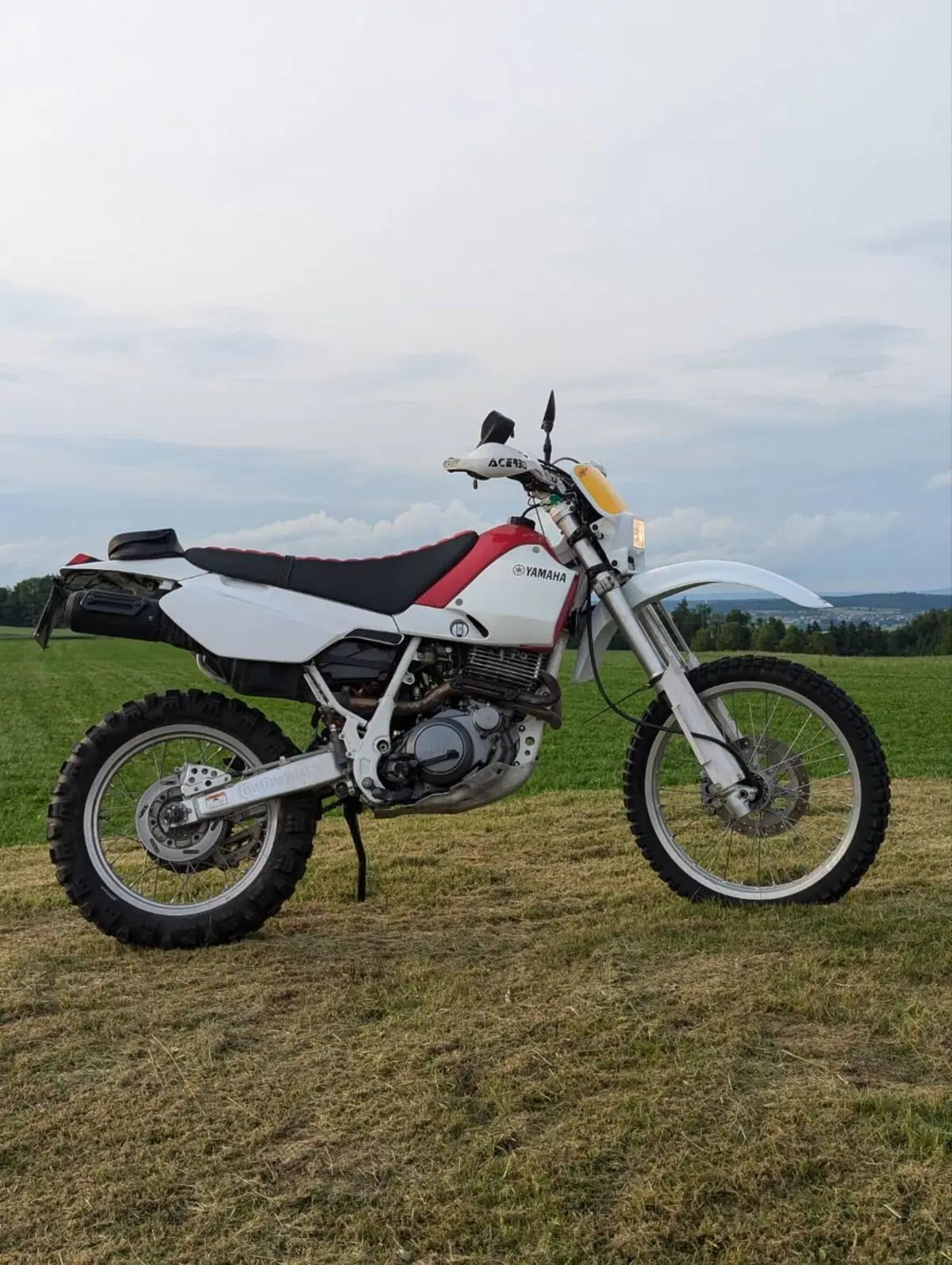 Yamaha TT 600 R (3)