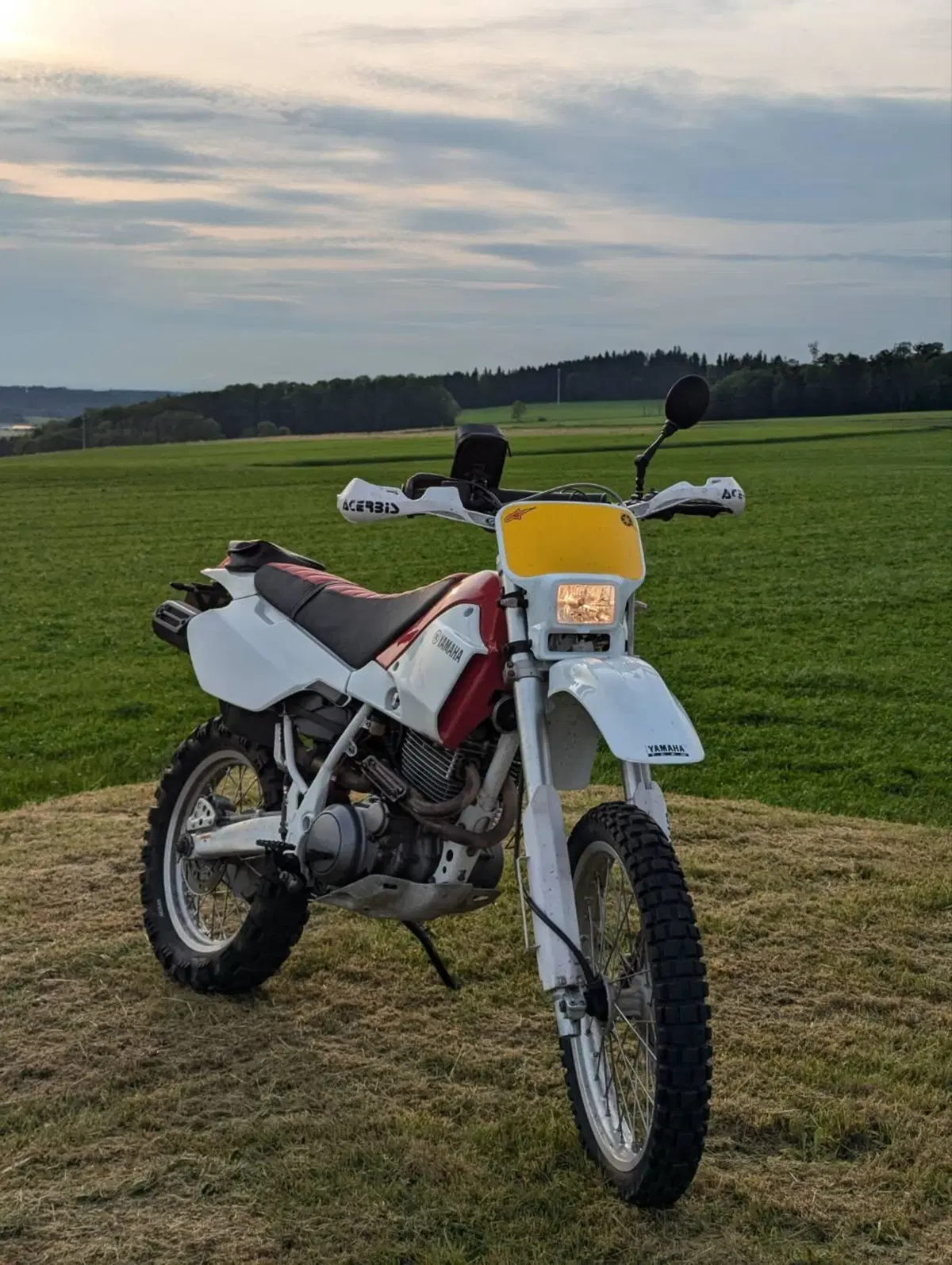 Yamaha TT 600 R (4)