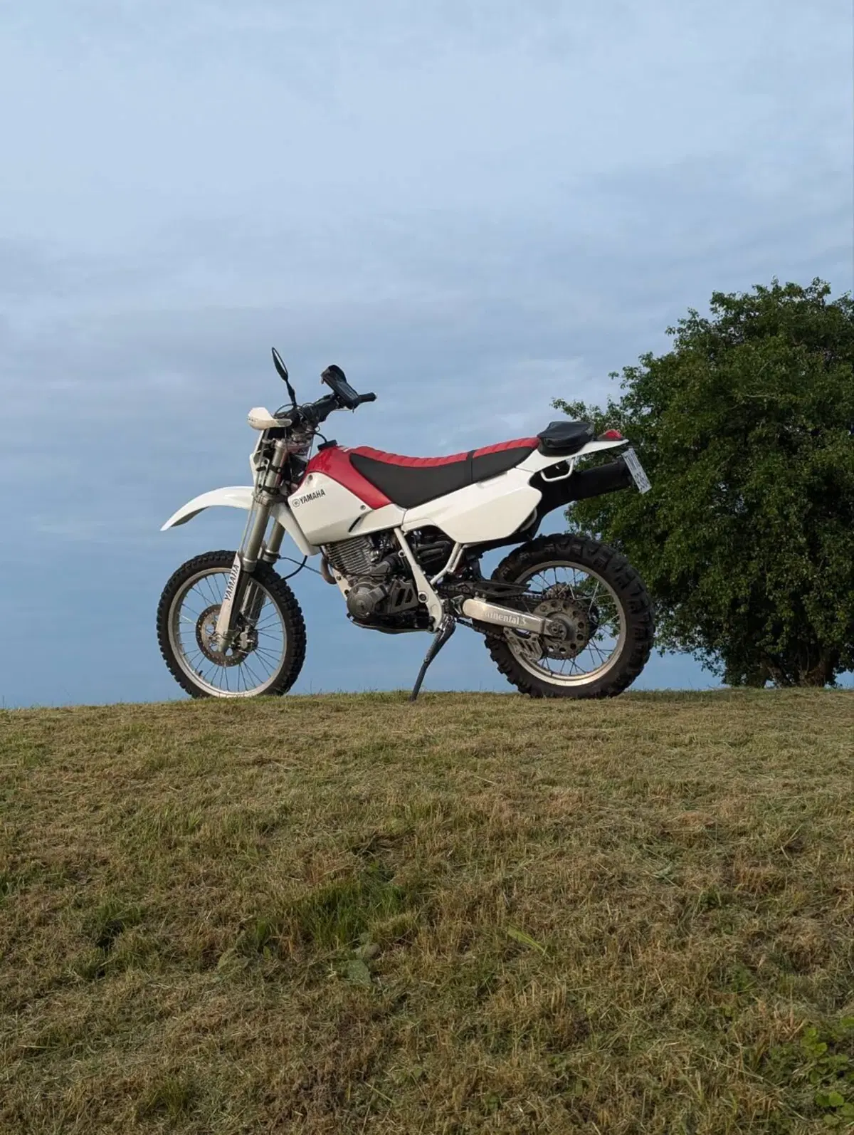 Yamaha TT 600 R (5)