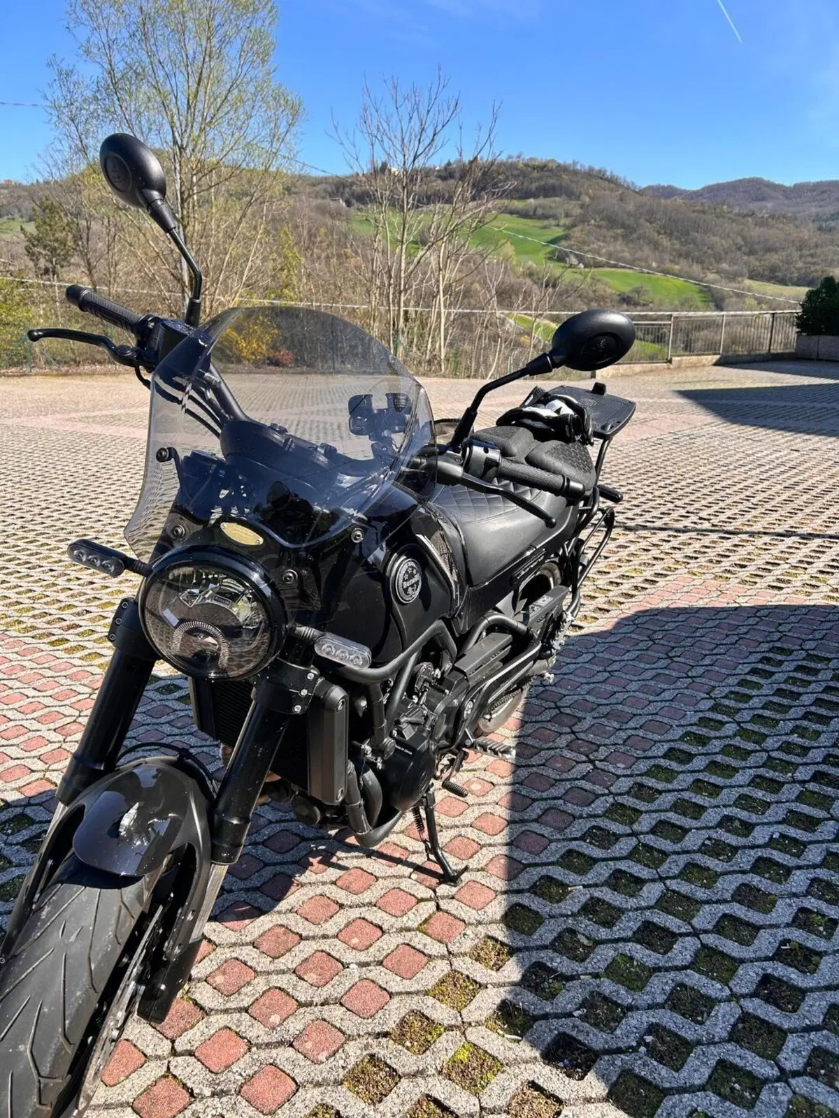 Benelli Leoncino 500 (2021 - 25) (3)