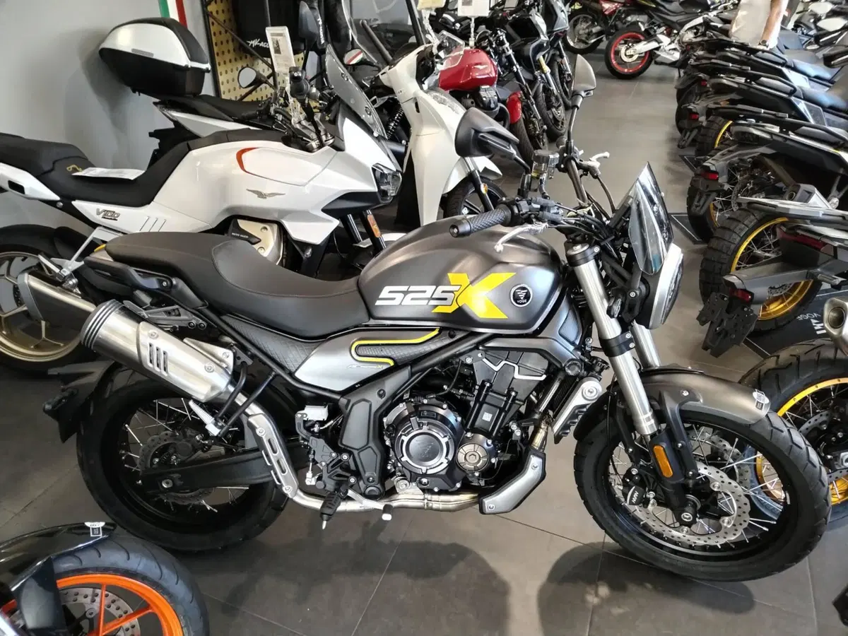 Voge Trofeo 525ACX Scrambler (2023 - 26)