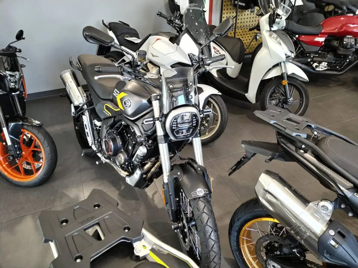Voge Trofeo 525ACX Scrambler (2023 - 26) (2)