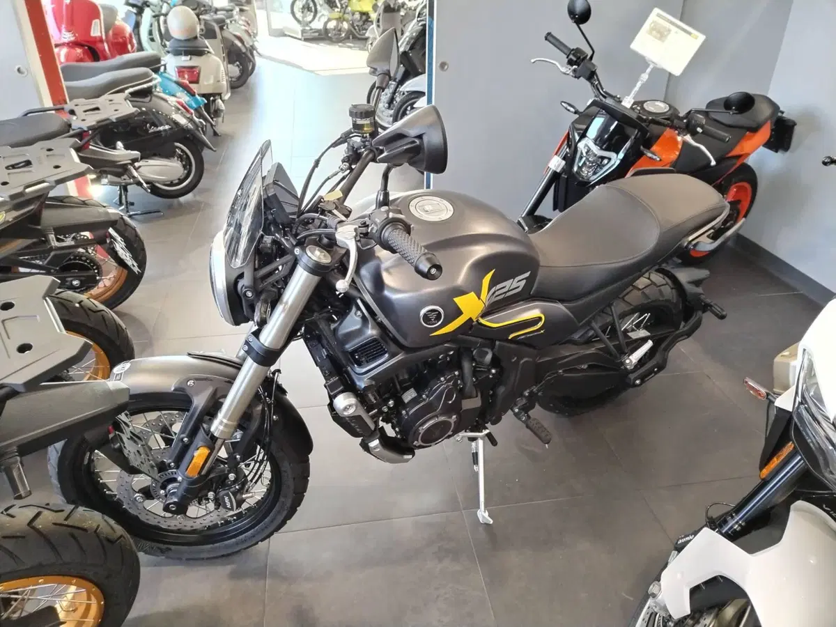 Voge Trofeo 525ACX Scrambler (2023 - 26) (3)