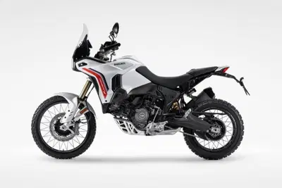 Ducati DesertX (2026) usata