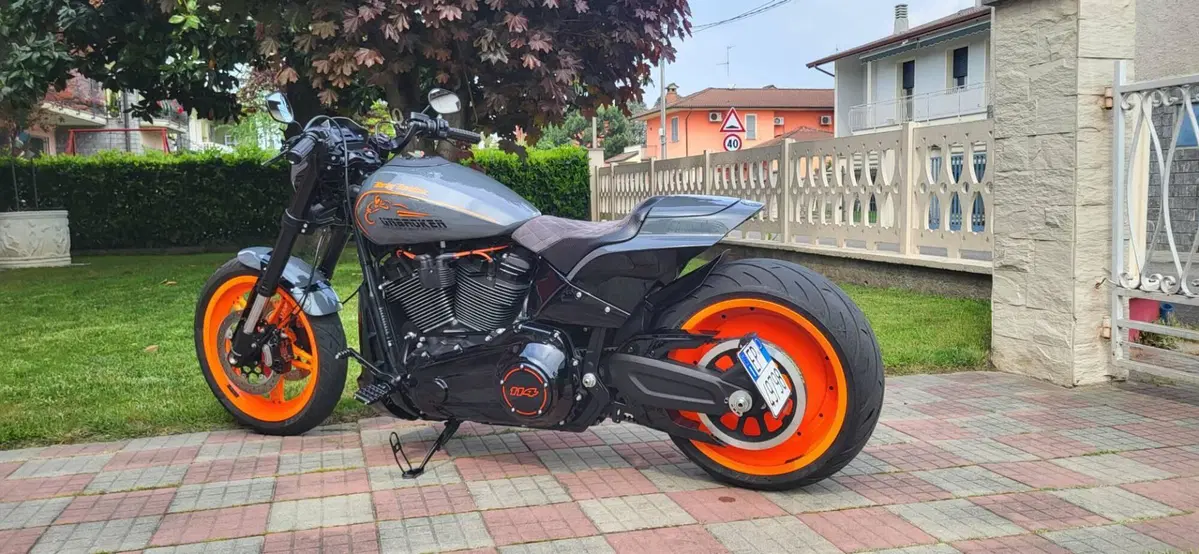 Harley-Davidson 114 FXDR (2019 - 20) (2)