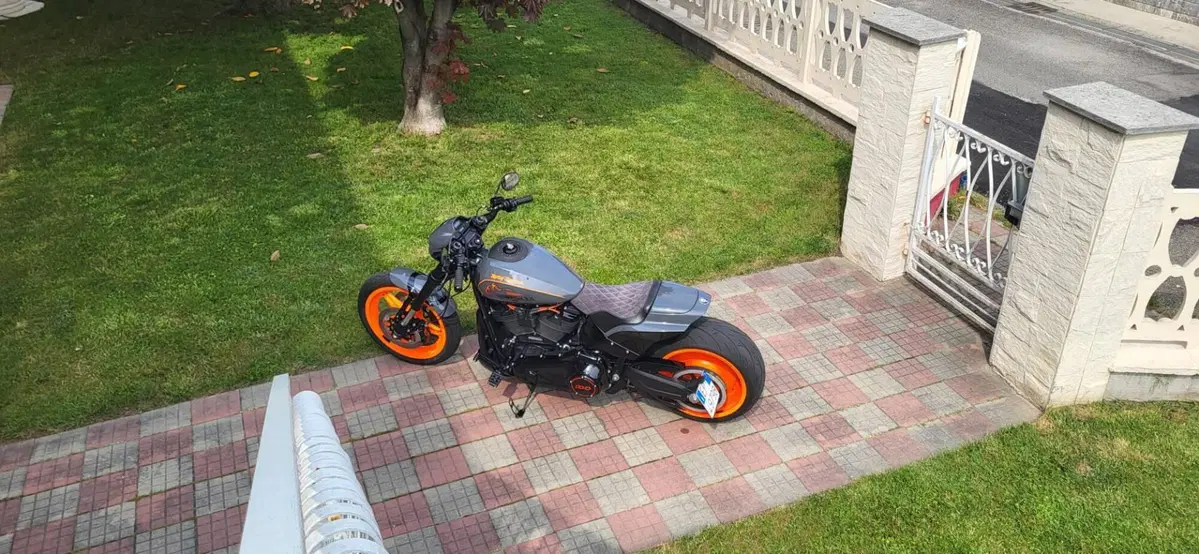 Harley-Davidson 114 FXDR (2019 - 20) (3)
