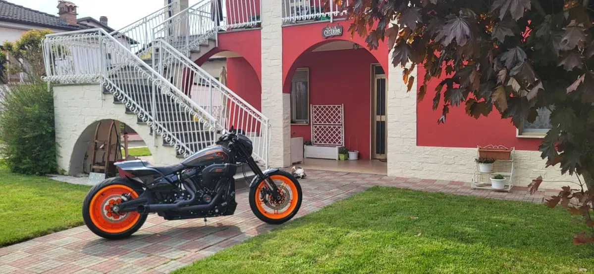 Harley-Davidson 114 FXDR (2019 - 20) (4)