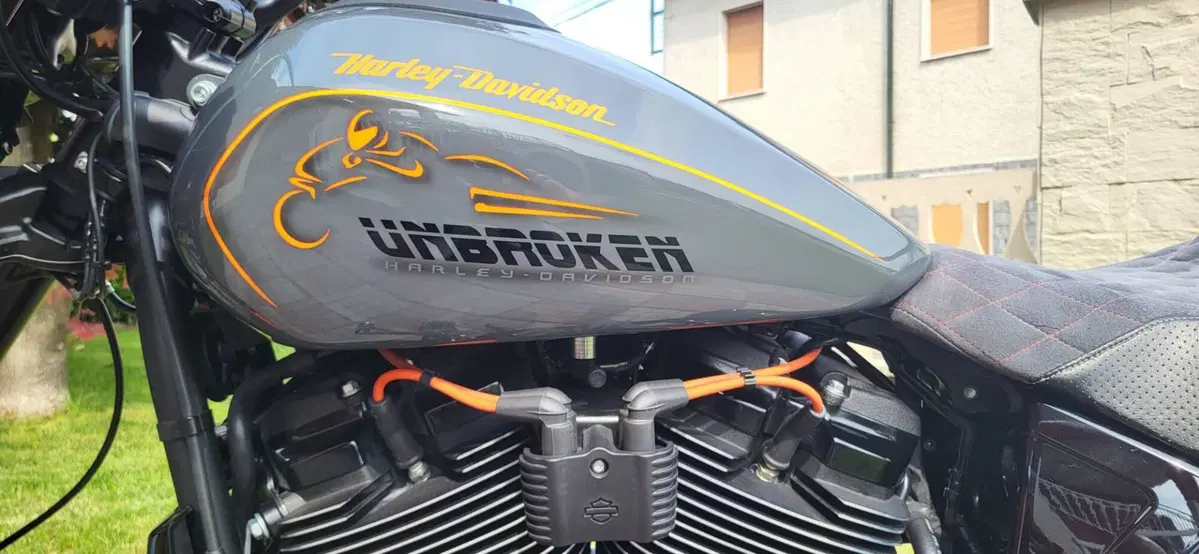Harley-Davidson 114 FXDR (2019 - 20) (10)