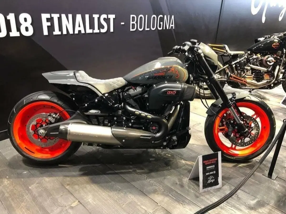 Harley-Davidson 114 FXDR (2019 - 20) (12)
