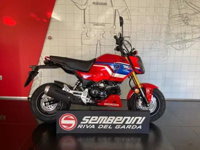 Honda MSX 125 Grom (2021 - 26) nuova