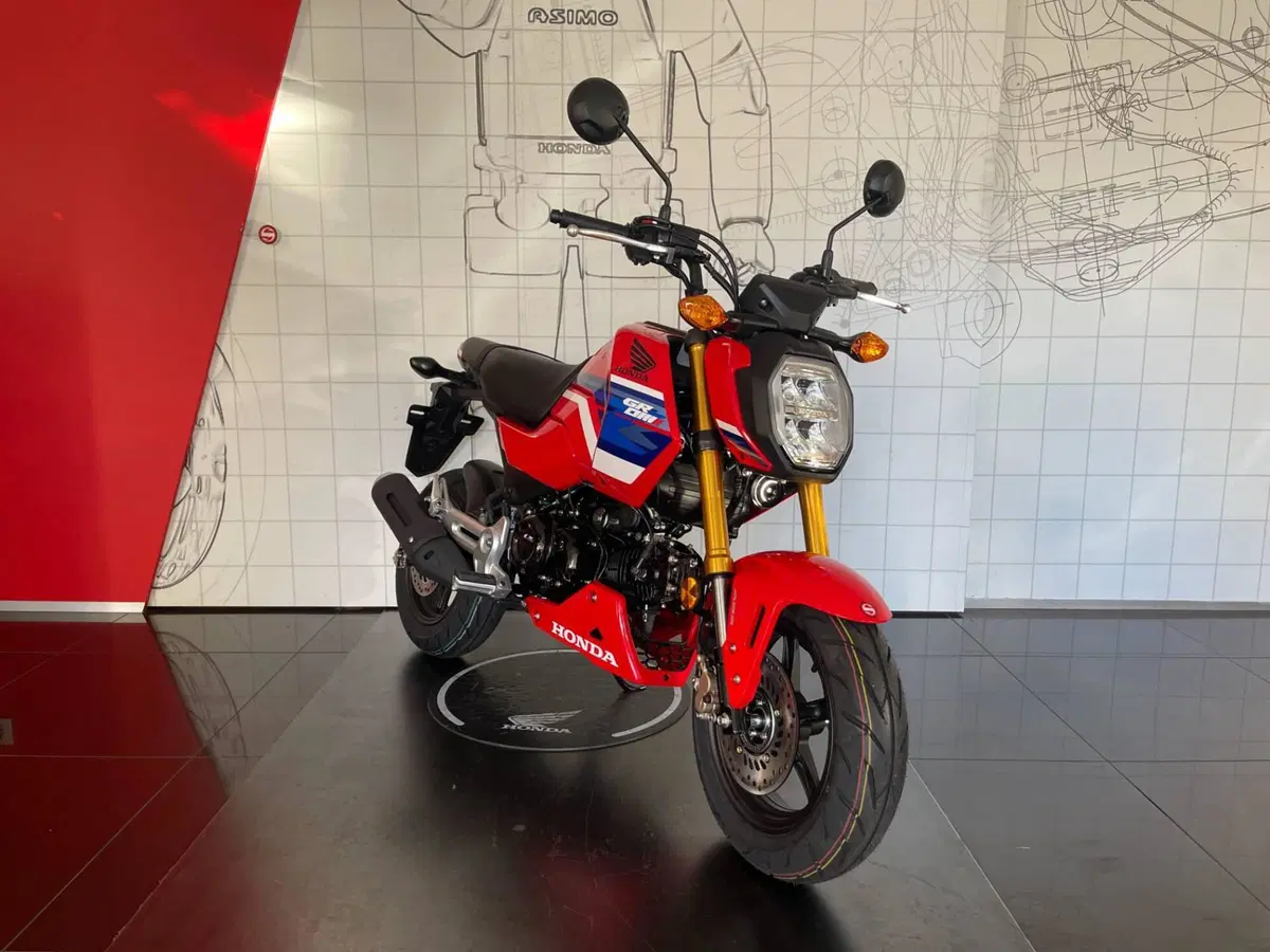 Honda MSX 125 Grom (2021 - 26) (3)