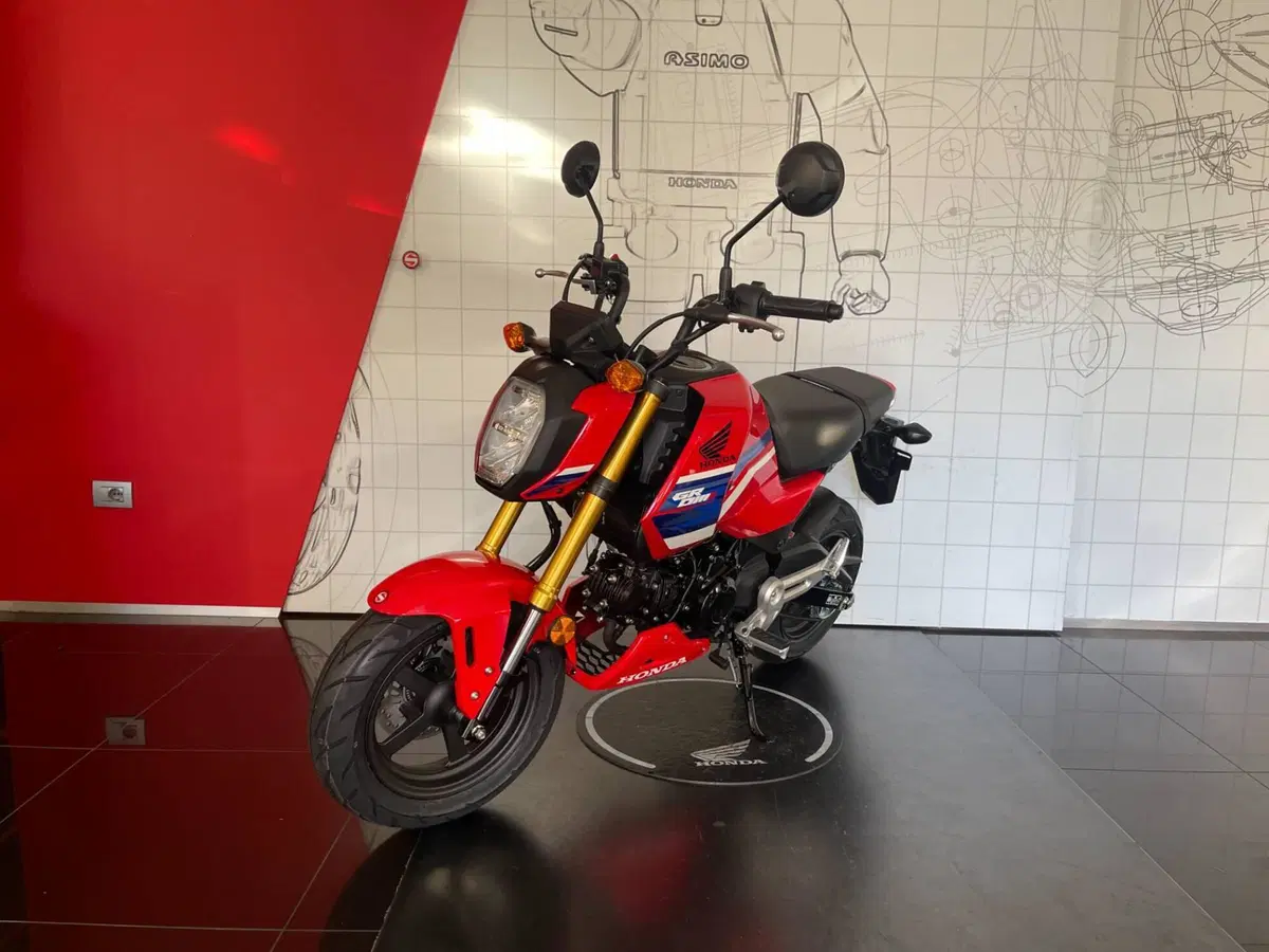 Honda MSX 125 Grom (2021 - 26) (5)