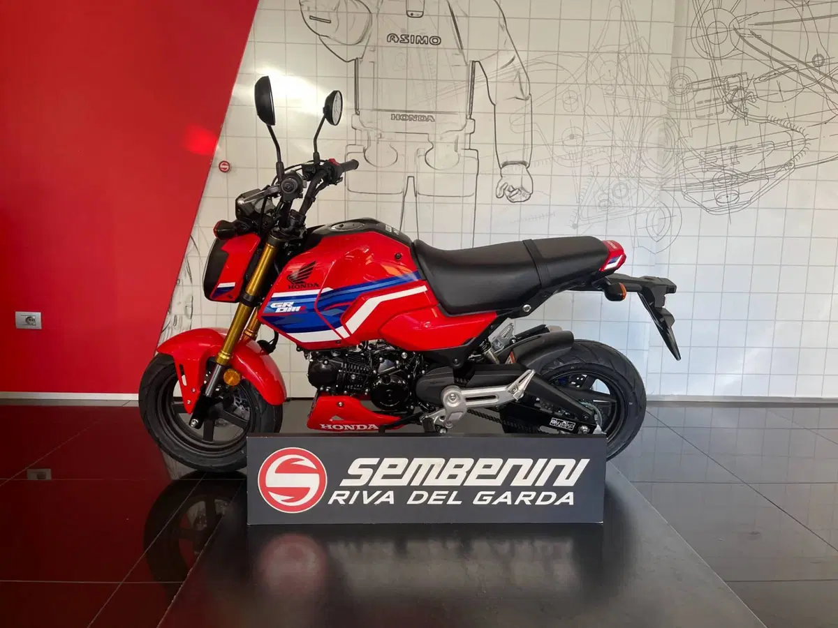 Honda MSX 125 Grom (2021 - 26) (6)