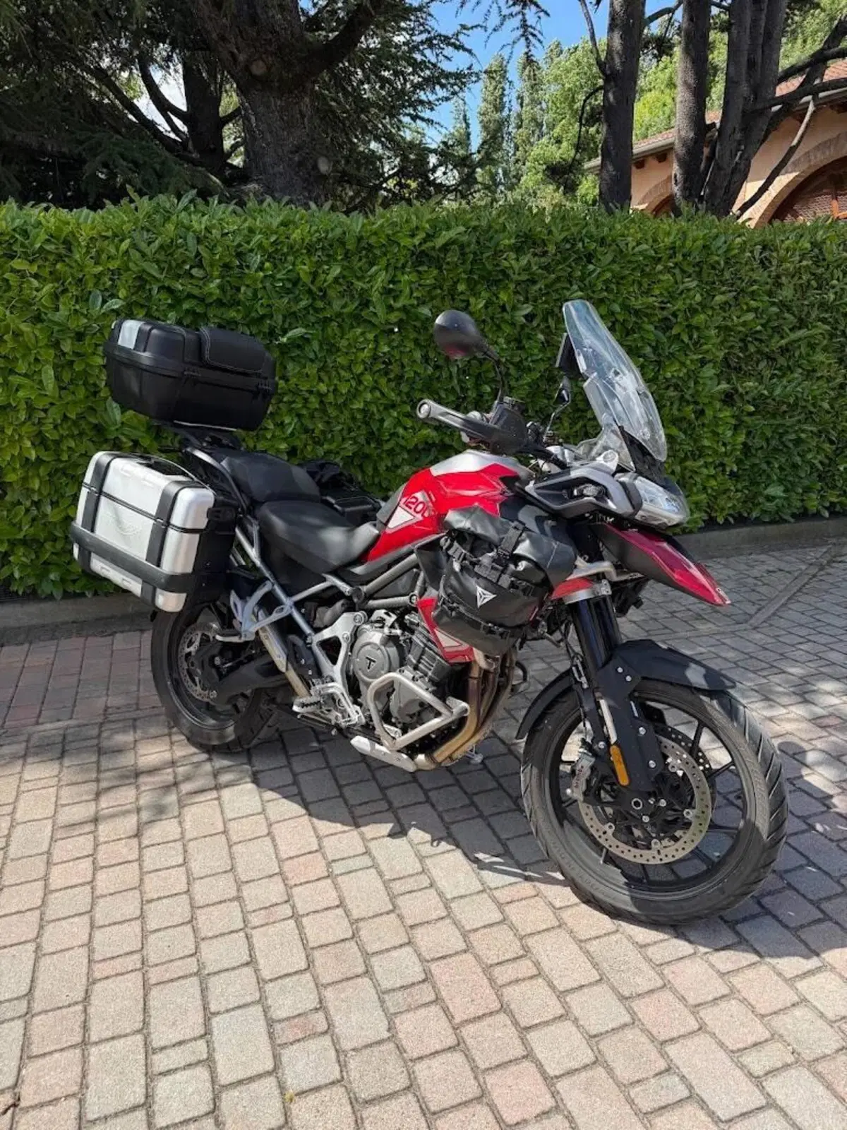 Triumph Tiger 1200 GT Pro (2024 - 26)