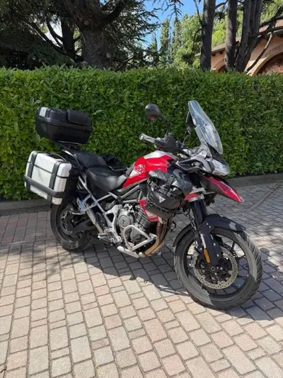 Triumph Tiger 1200 GT Pro (2024 - 26) usata