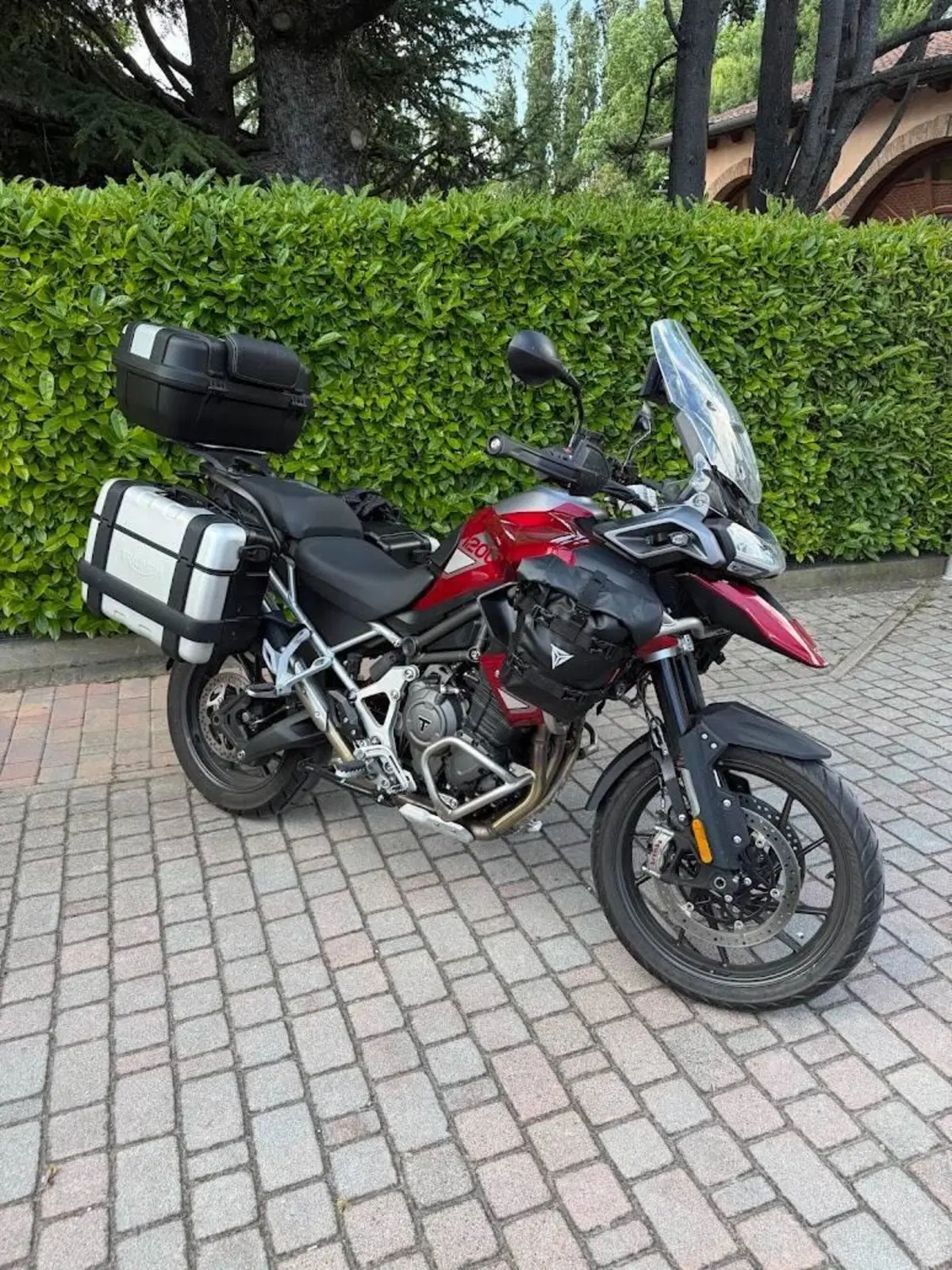 Triumph Tiger 1200 GT Pro (2024 - 26) (3)