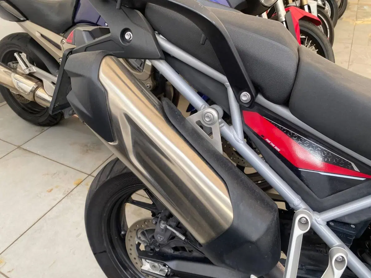 Triumph Tiger 900 GT (2024 - 26) (5)
