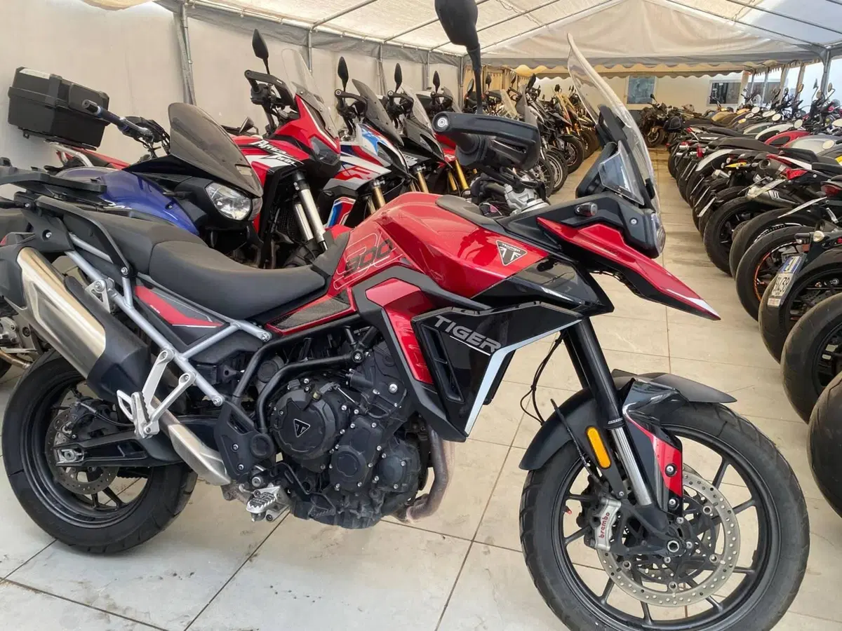 Triumph Tiger 900 GT (2024 - 26)