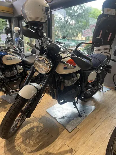 Royal Enfield Bear 650 (2025 - 26) usata