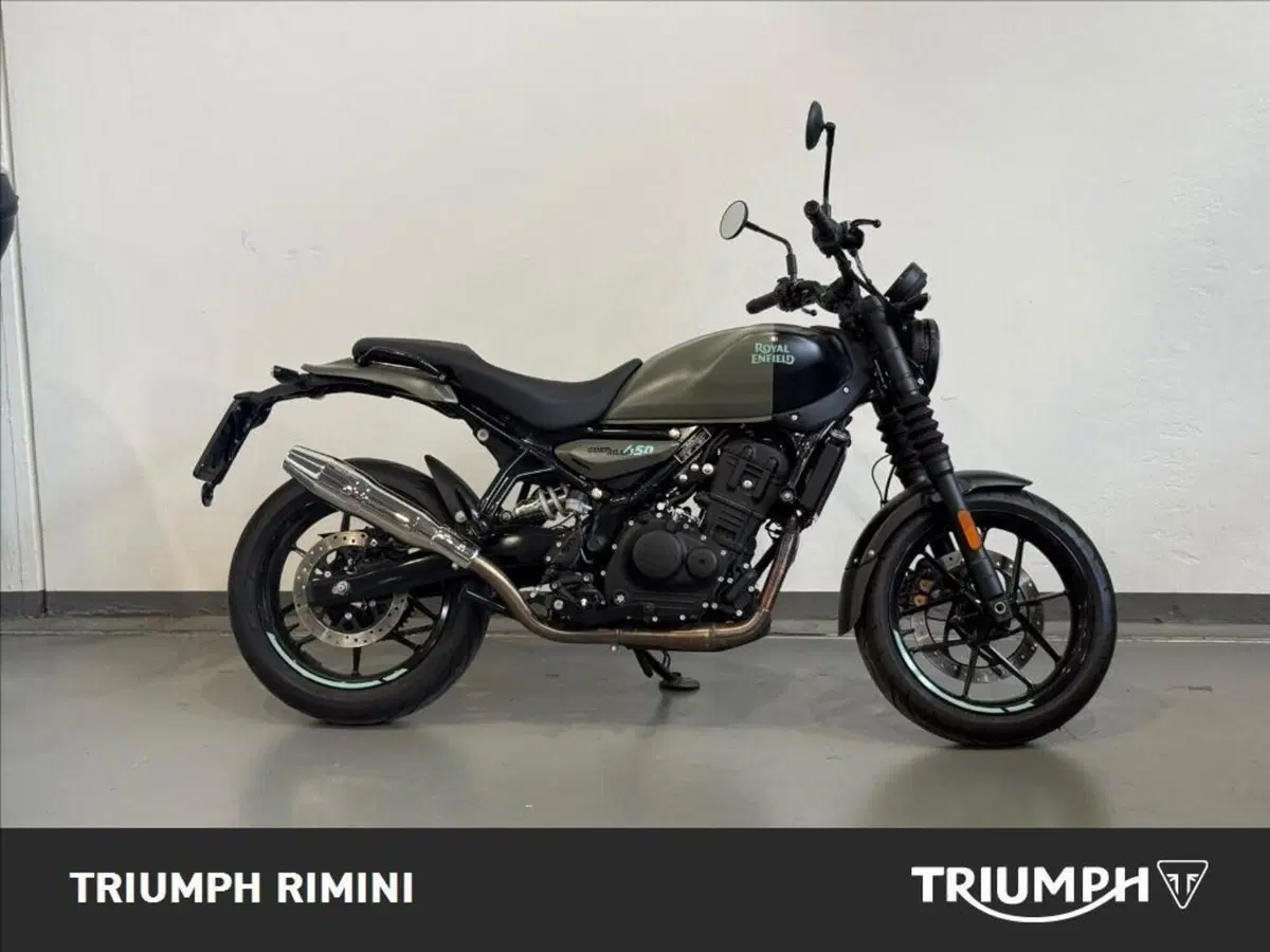 Royal Enfield Guerrilla 450 (2024 - 26) (4)