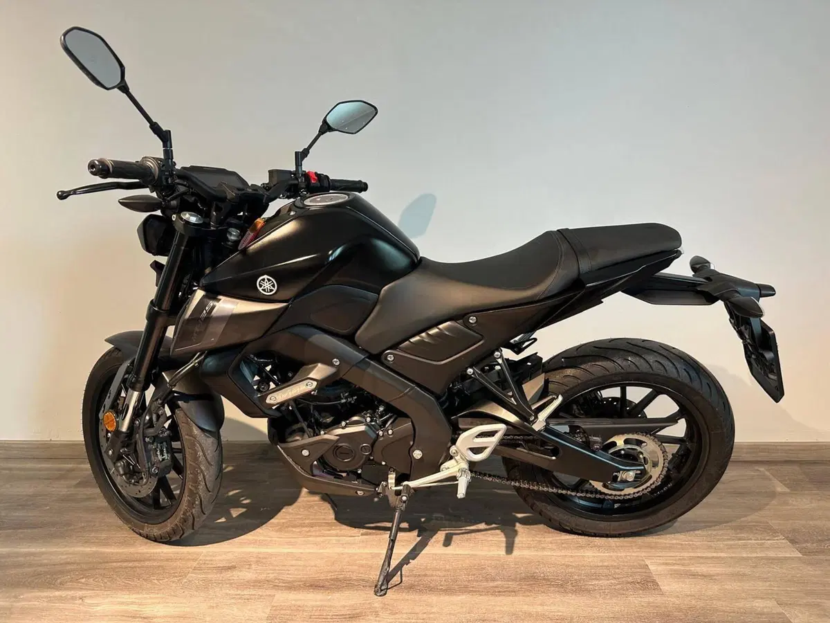 Yamaha MT-125 (2021 - 24) (2)