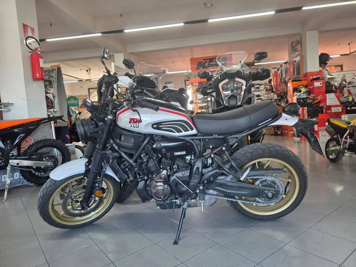 Yamaha XSR 700 XTribute (2022 - 24)