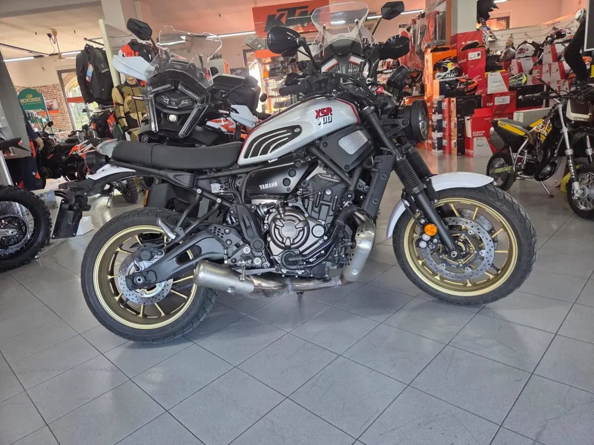 Yamaha XSR 700 XTribute (2022 - 24) (3)