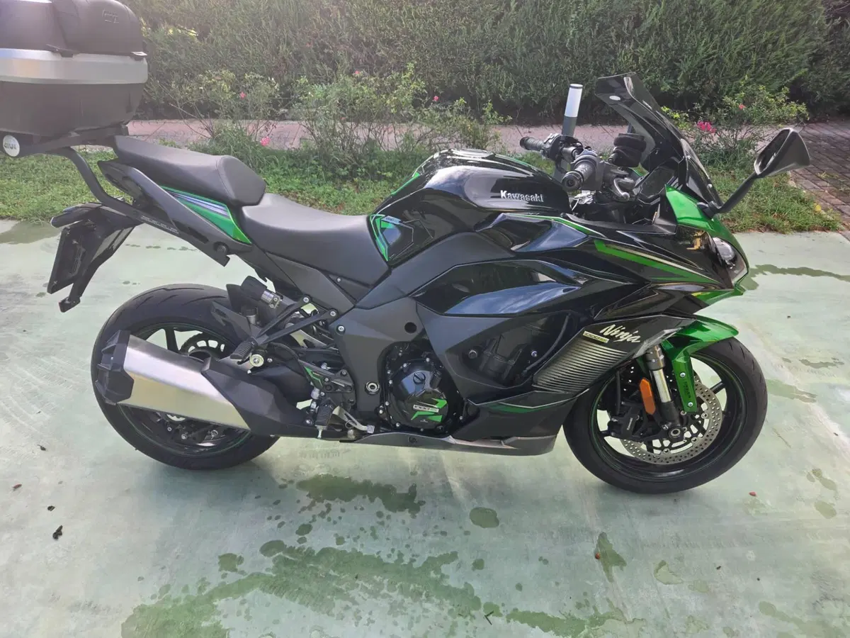 Kawasaki Ninja 1000 SX (2021 - 24) (2)