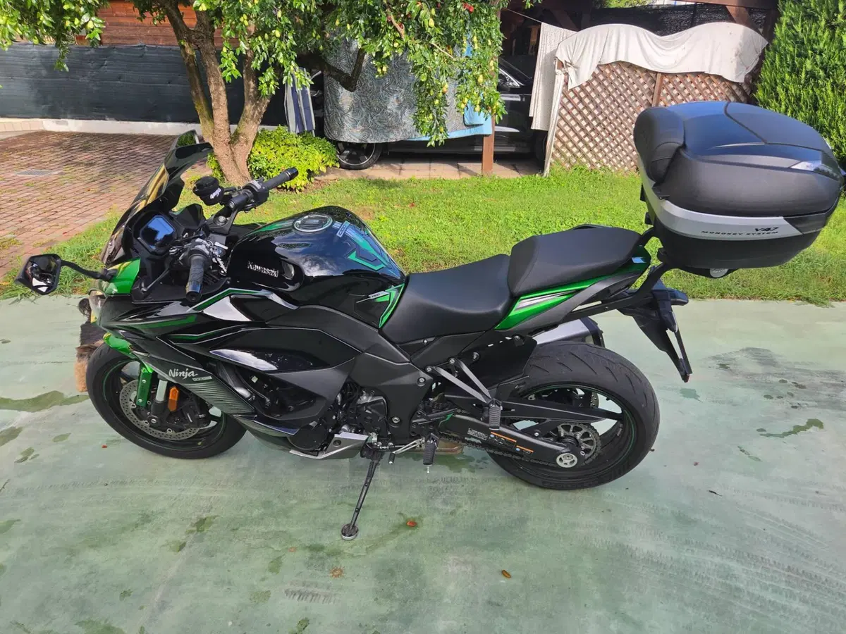 Kawasaki Ninja 1000 SX (2021 - 24) (3)