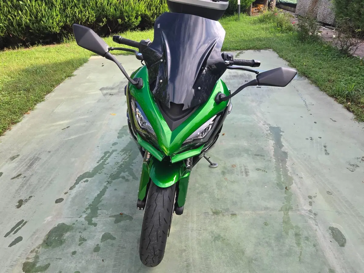 Kawasaki Ninja 1000 SX (2021 - 24) (4)