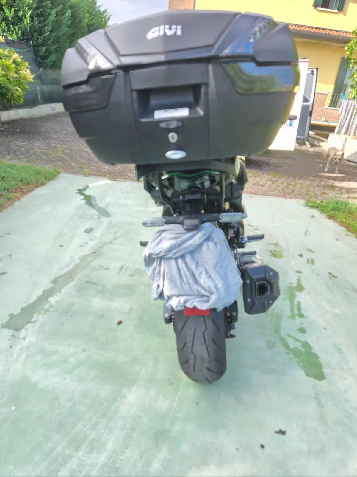 Kawasaki Ninja 1000 SX (2021 - 24) (5)