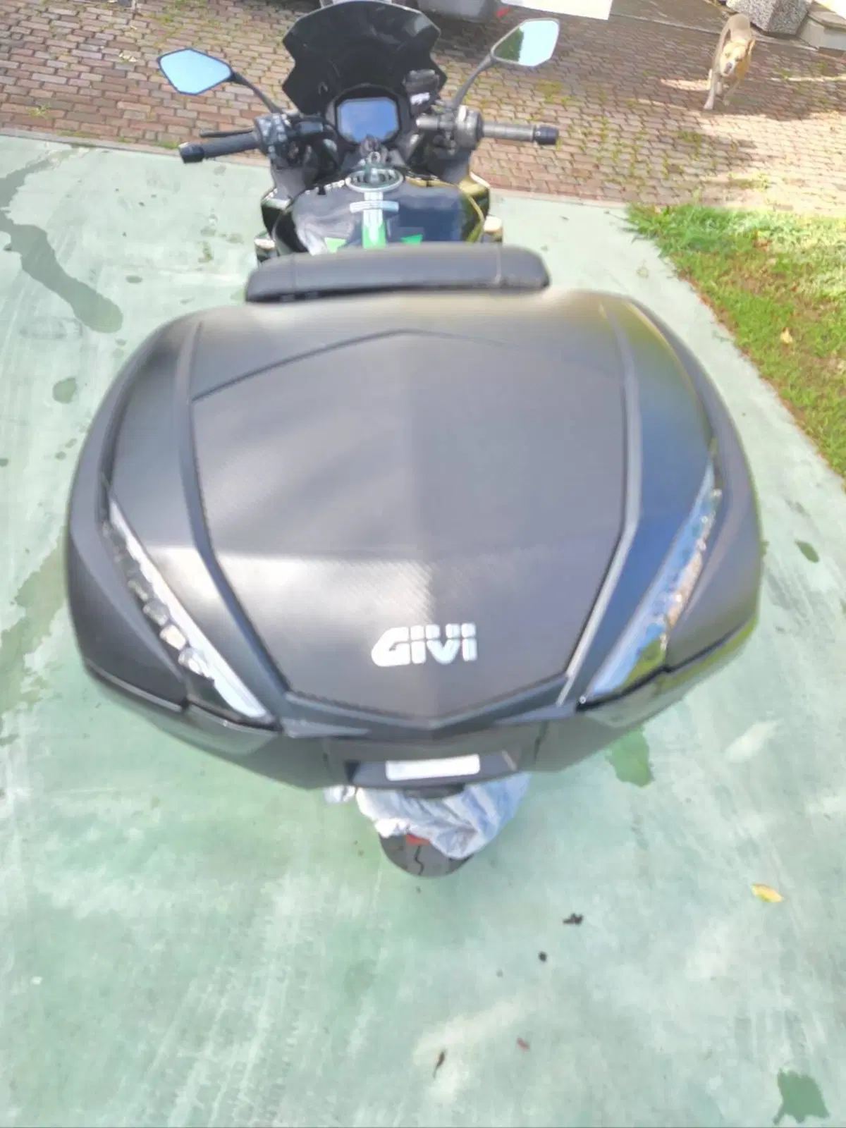 Kawasaki Ninja 1000 SX (2021 - 24) (6)