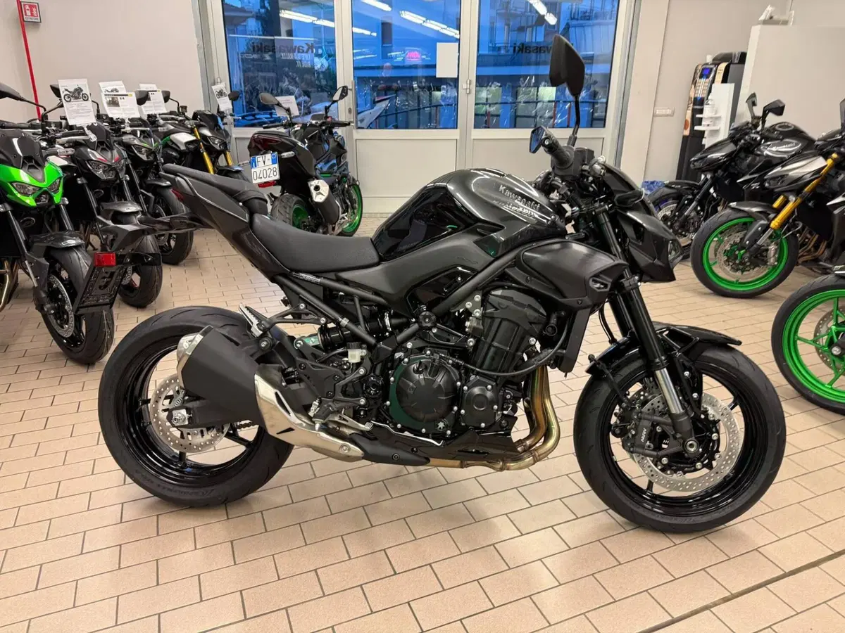 Kawasaki Z 900 (2025 - 27) (2)