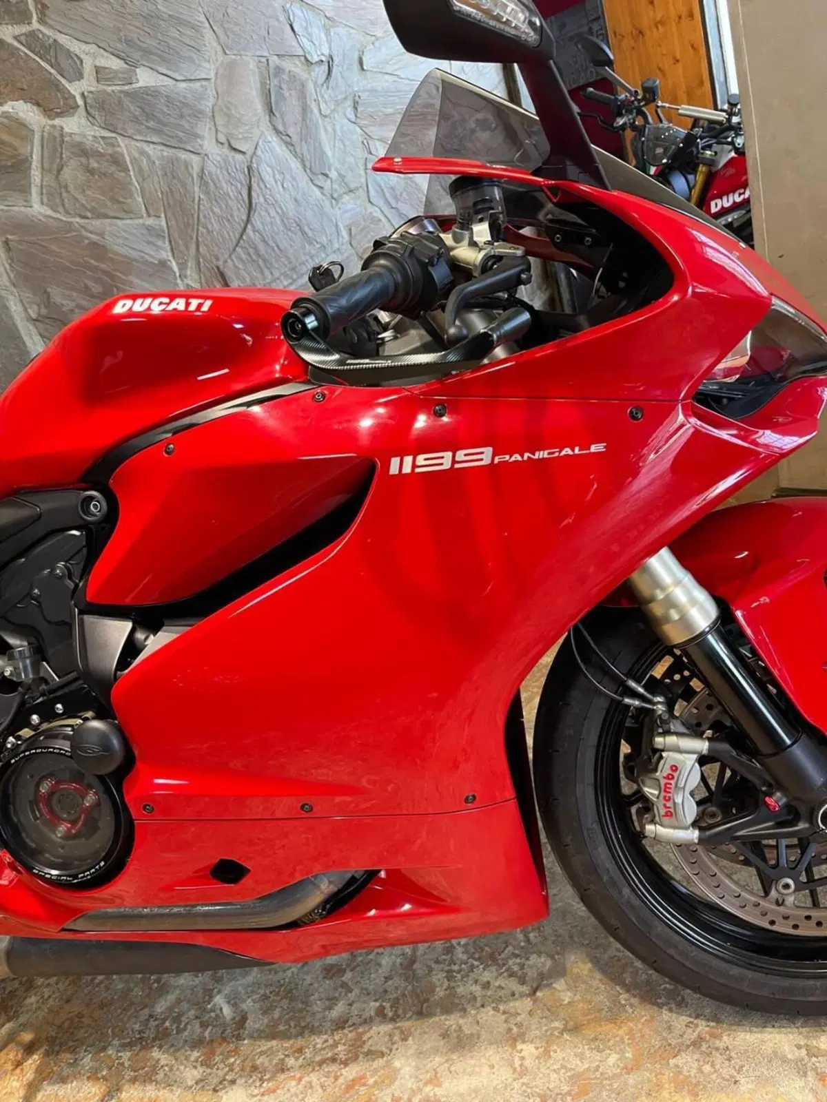 Ducati 1199 Panigale ABS (2013 - 14) (11)