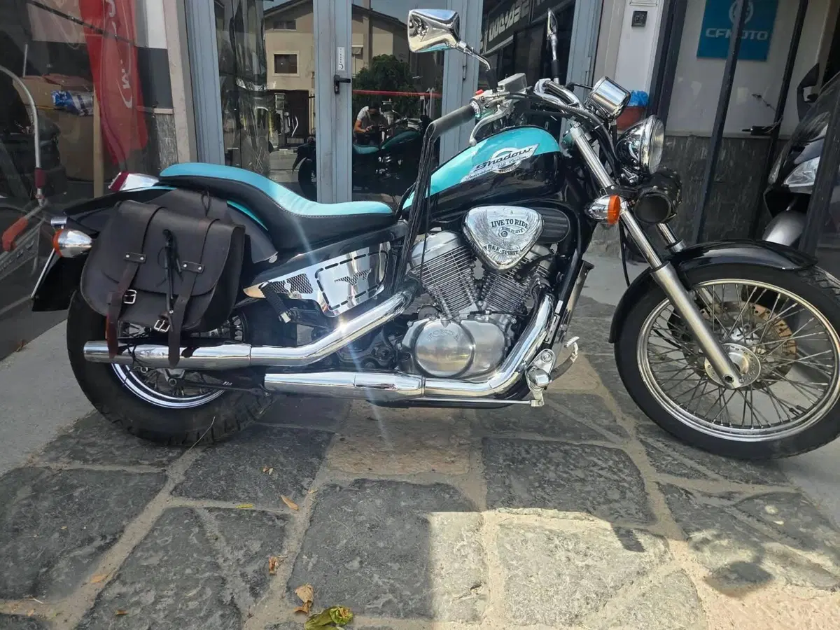 Honda VT 600 C Shadow (1989 - 98) (6)