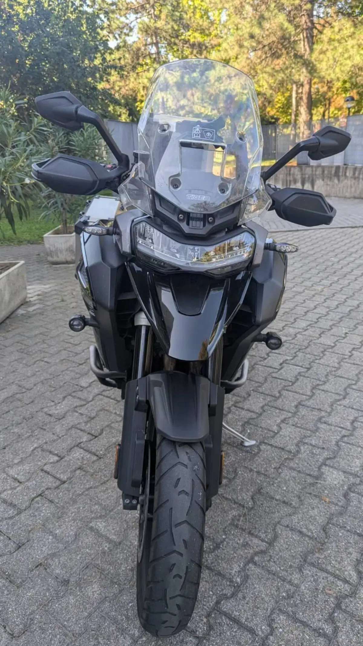 Triumph Tiger 1200 GT Explorer (2022 - 23) (3)