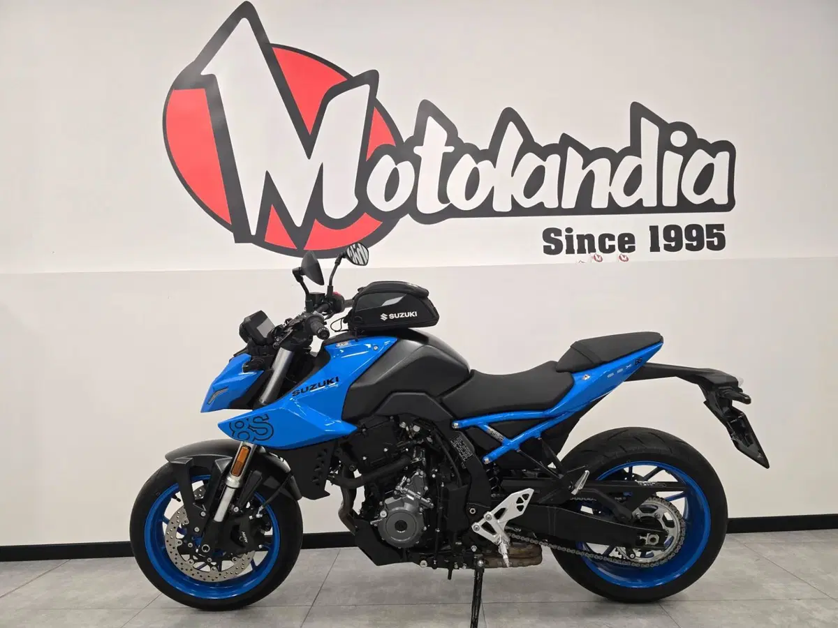 Suzuki GSX-8S (2023 - 24) (3)