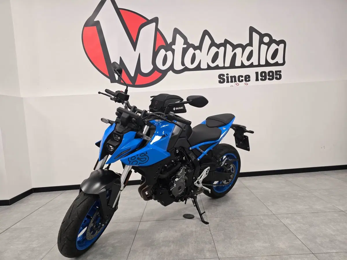 Suzuki GSX-8S (2023 - 24) (4)