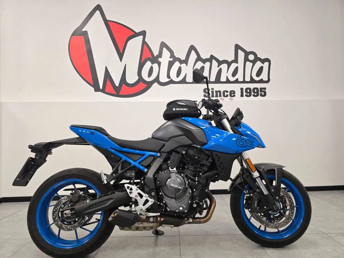 Suzuki GSX-8S (2023 - 24) (2)