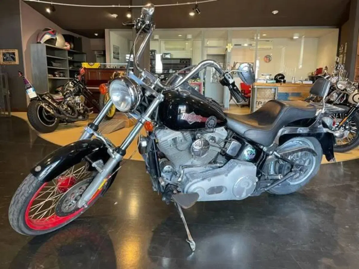 Harley-Davidson 1450 Standard (2002 - 05) - FXSTI (2)
