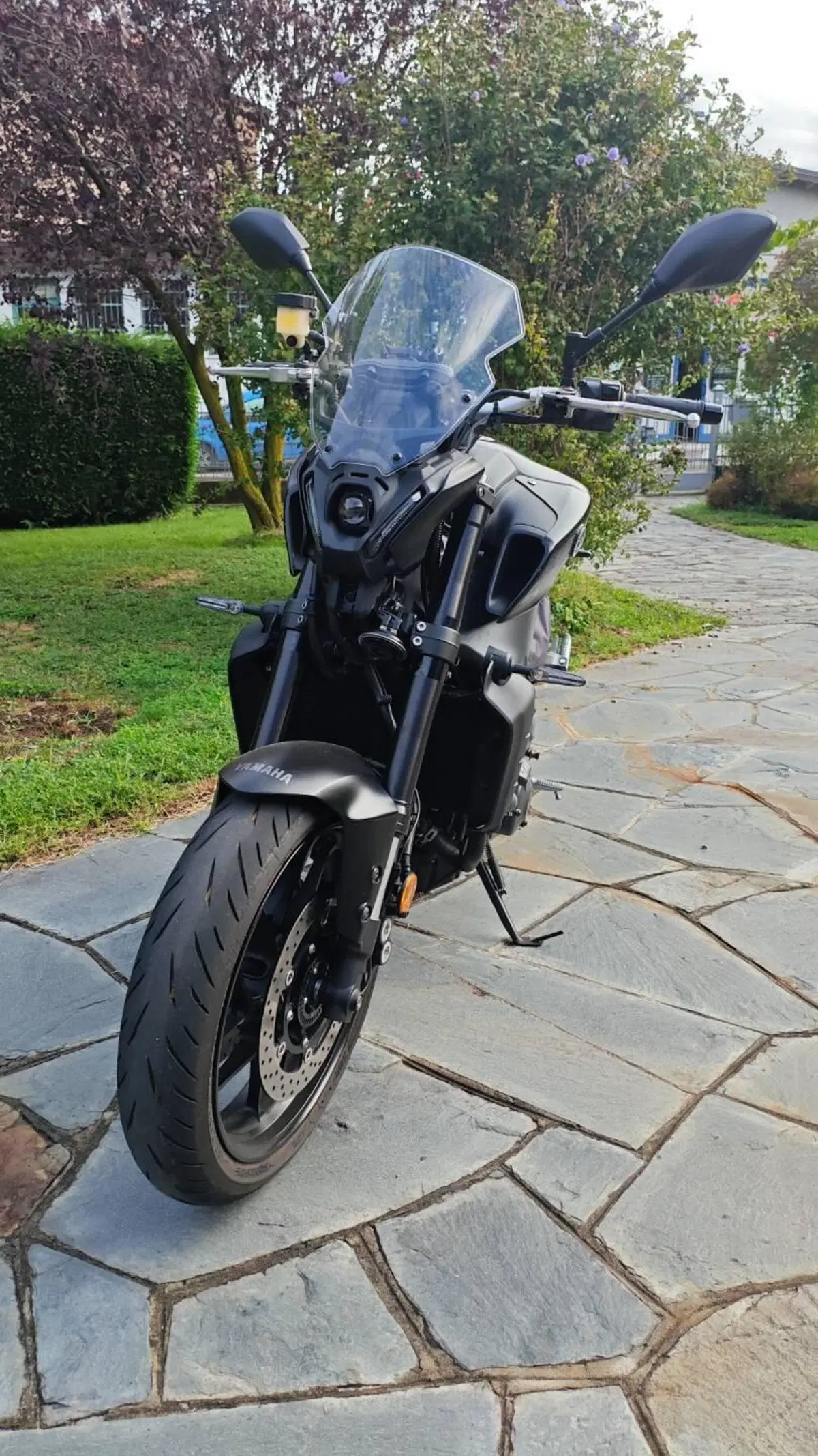 Yamaha MT-09 (2021 - 23) (5)