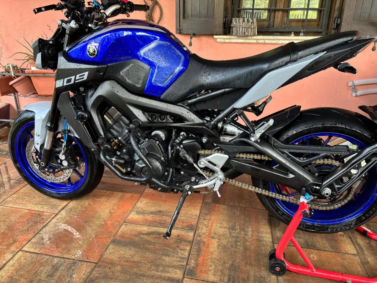 Yamaha MT-09 (2017 - 20) (2)