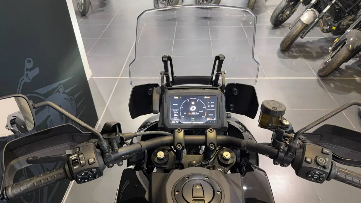 Harley-Davidson Pan America 1250 (2020 - 25) (4)