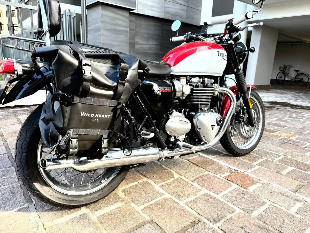 Triumph Bonneville T120 Bud Ekins SE (2020) (3)