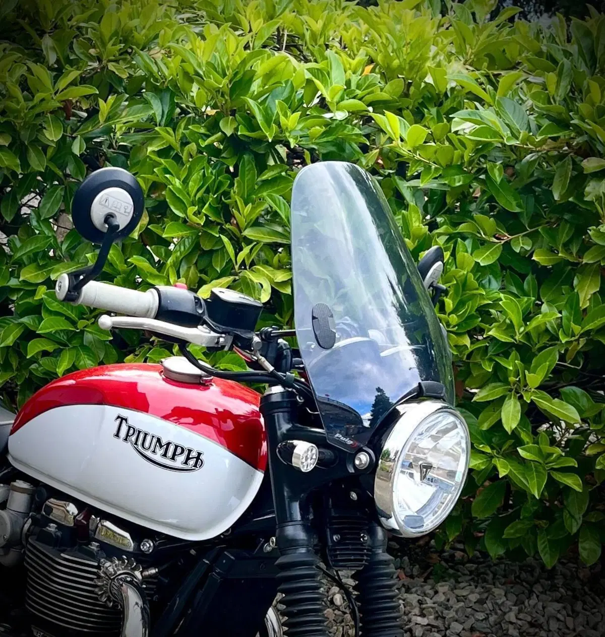 Triumph Bonneville T120 Bud Ekins SE (2020) (8)
