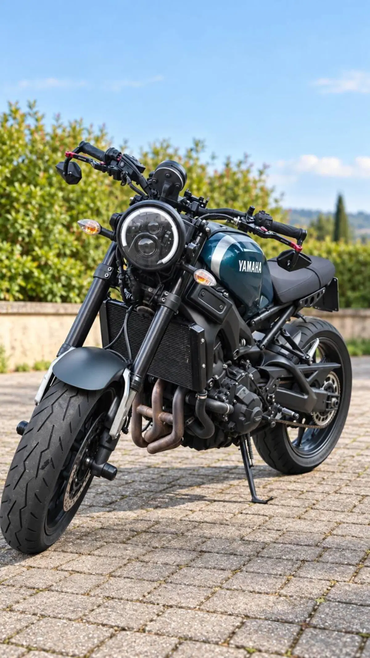 Yamaha XSR 900 ABS (2016 - 20) (2)