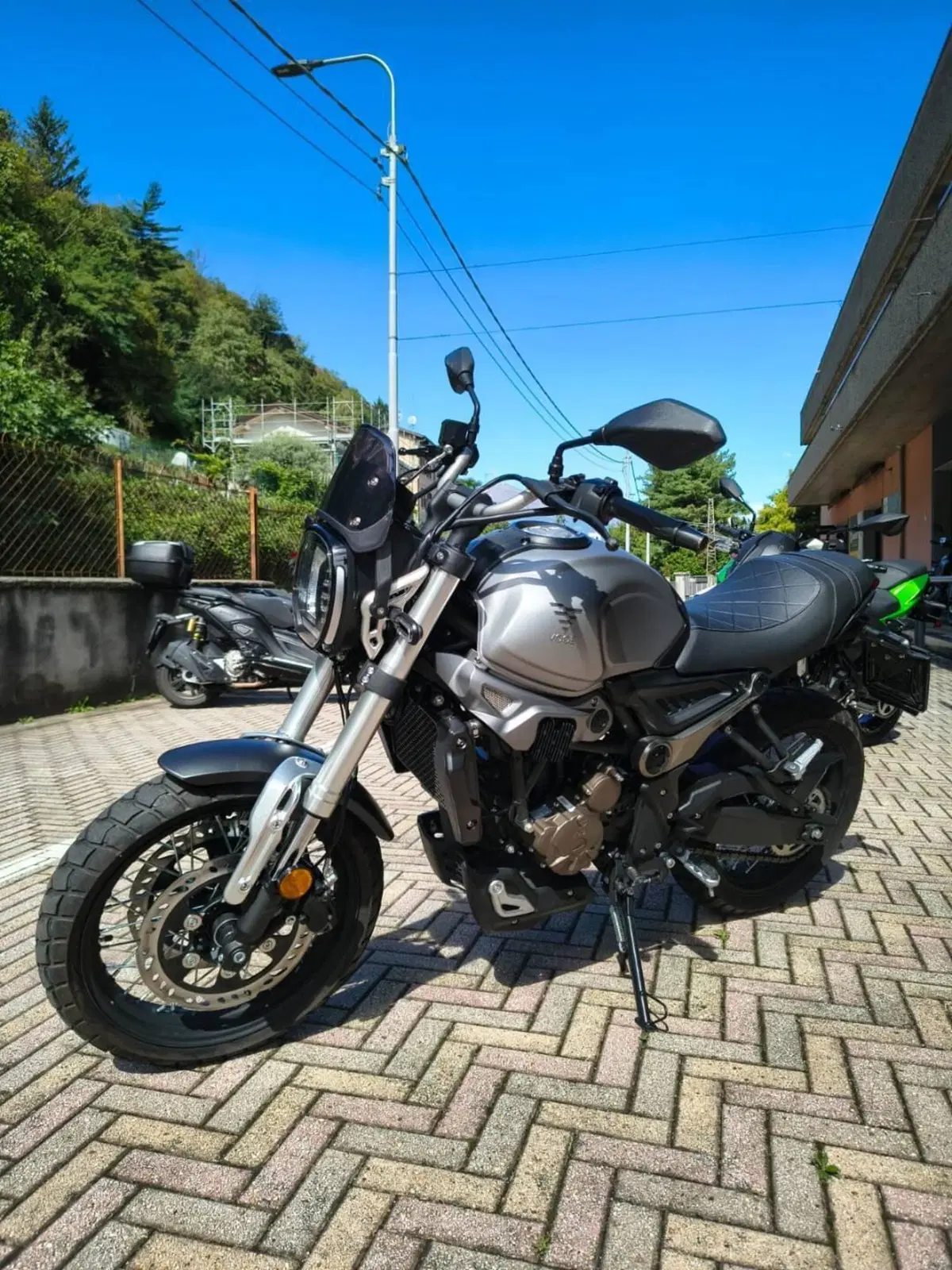 Voge Trofeo 300ACX Scrambler (2021 - 26) (2)