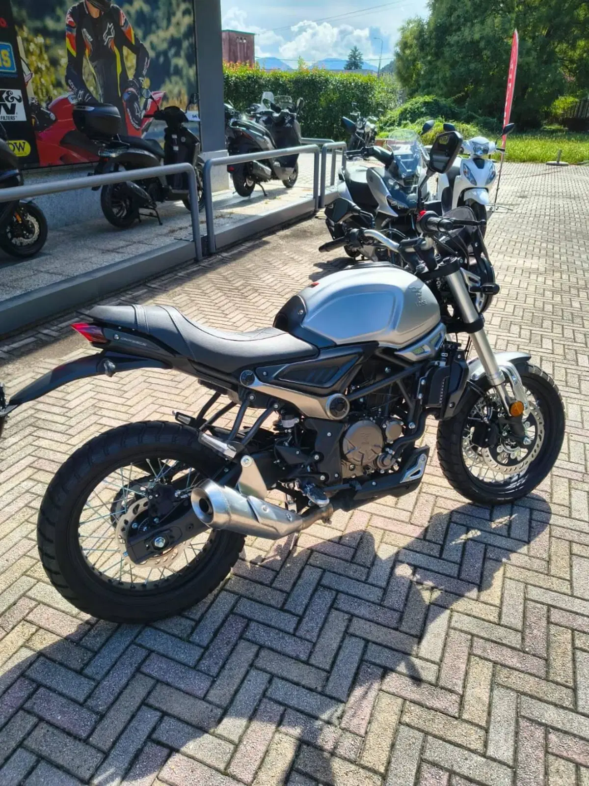 Voge Trofeo 300ACX Scrambler (2021 - 26) (4)